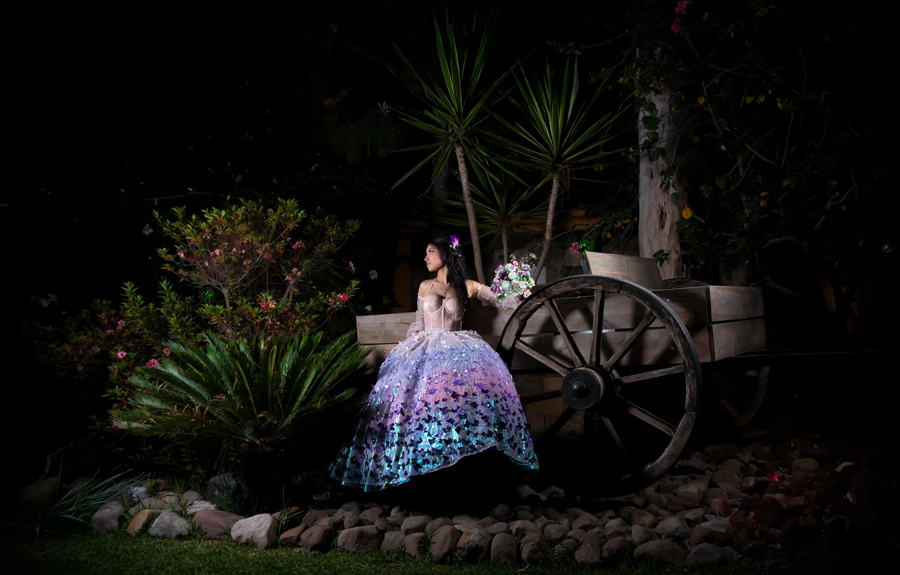 Fotografía 7 de quince